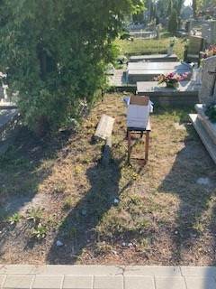 Grób Manfred Susczyk