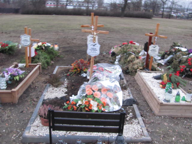 Grób Tadeusz Elzanowski